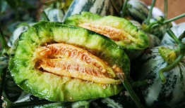 tai9吃瓜爆料,tai9吃瓜爆料，带你直击幕后真相